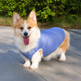 Lightweight Nylon Dog Vest for Everyday Wear