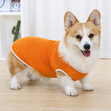 Lightweight Nylon Dog Vest for Everyday Wear