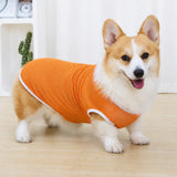 Lightweight Nylon Dog Vest for Everyday Wear