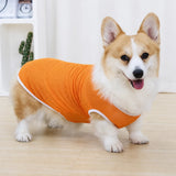 Lightweight Nylon Dog Vest for Everyday Wear