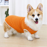 Lightweight Nylon Dog Vest for Everyday Wear