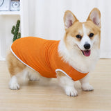 Lightweight Nylon Dog Vest for Everyday Wear