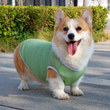 Lightweight Nylon Dog Vest for Everyday Wear
