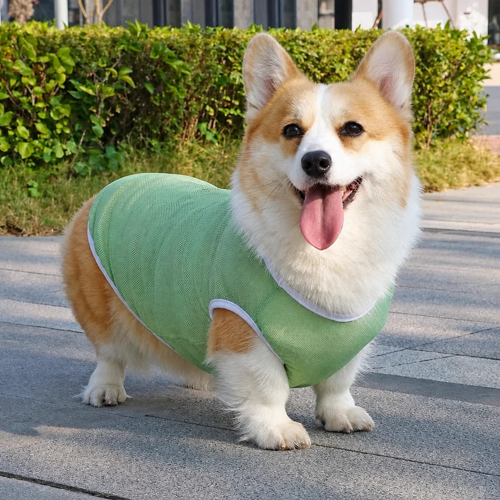 Lightweight Nylon Dog Vest for Everyday Wear