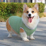 Lightweight Nylon Dog Vest for Everyday Wear