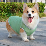 Lightweight Nylon Dog Vest for Everyday Wear