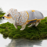 Waterproof Dog Raincoat for Small and Medium Breeds
