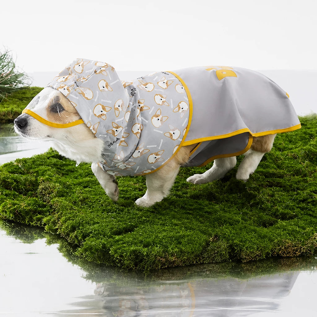 Waterproof Dog Raincoat for Small and Medium Breeds