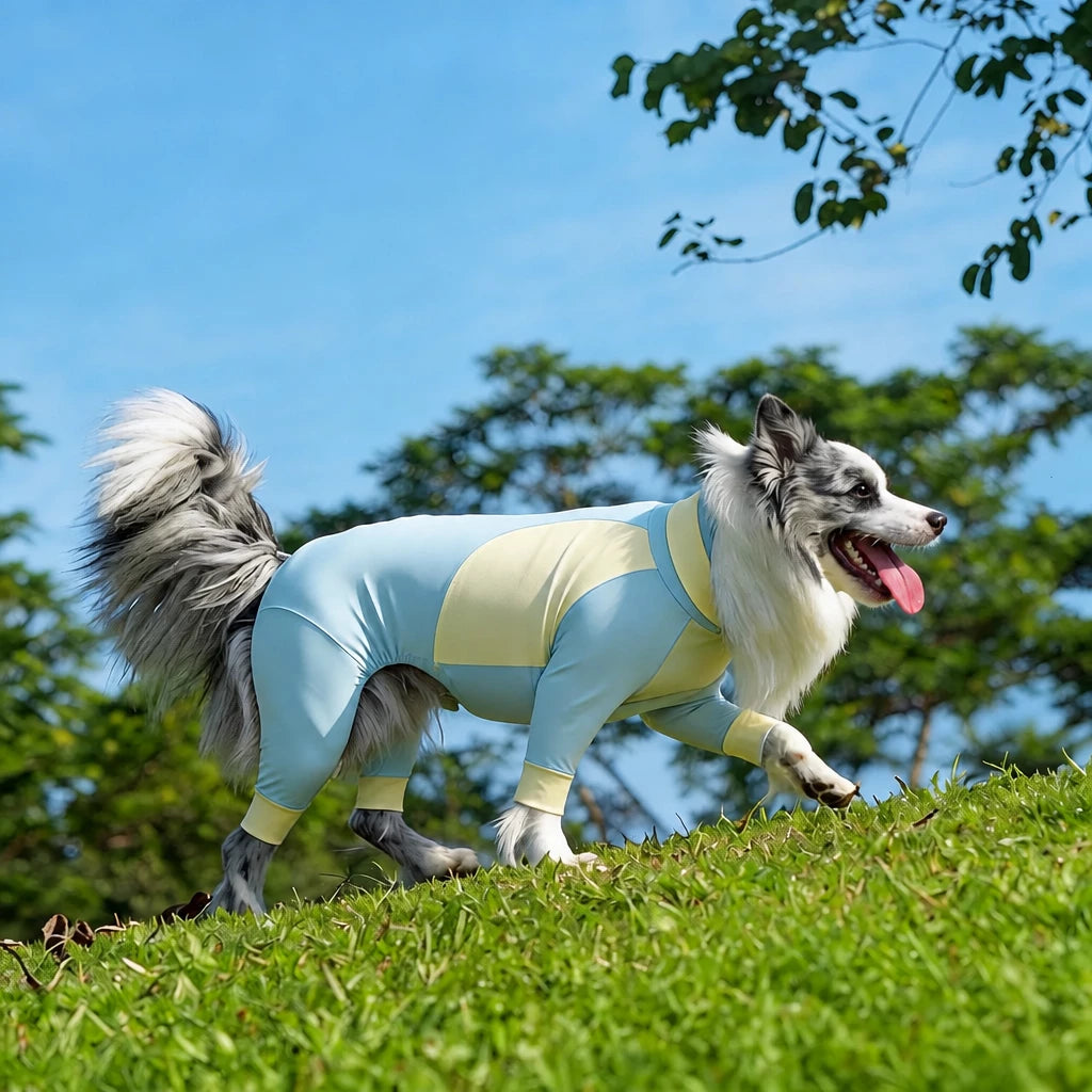 Lightweight Four-Leg Dog Shirt for Summer