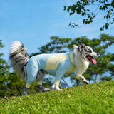 Lightweight Four-Leg Dog Shirt for Summer