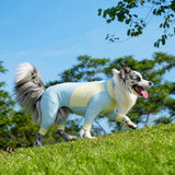 Lightweight Four-Leg Dog Shirt for Summer