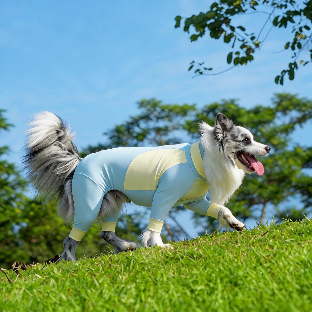 Lightweight Four-Leg Dog Shirt for Summer