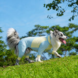 Lightweight Four-Leg Dog Shirt for Summer