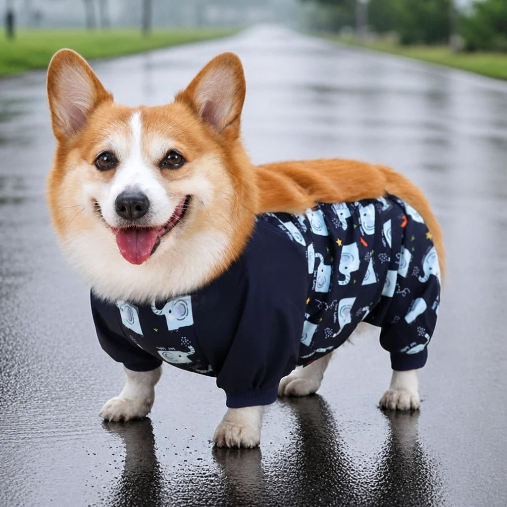 Dog Outdoor Rainwear