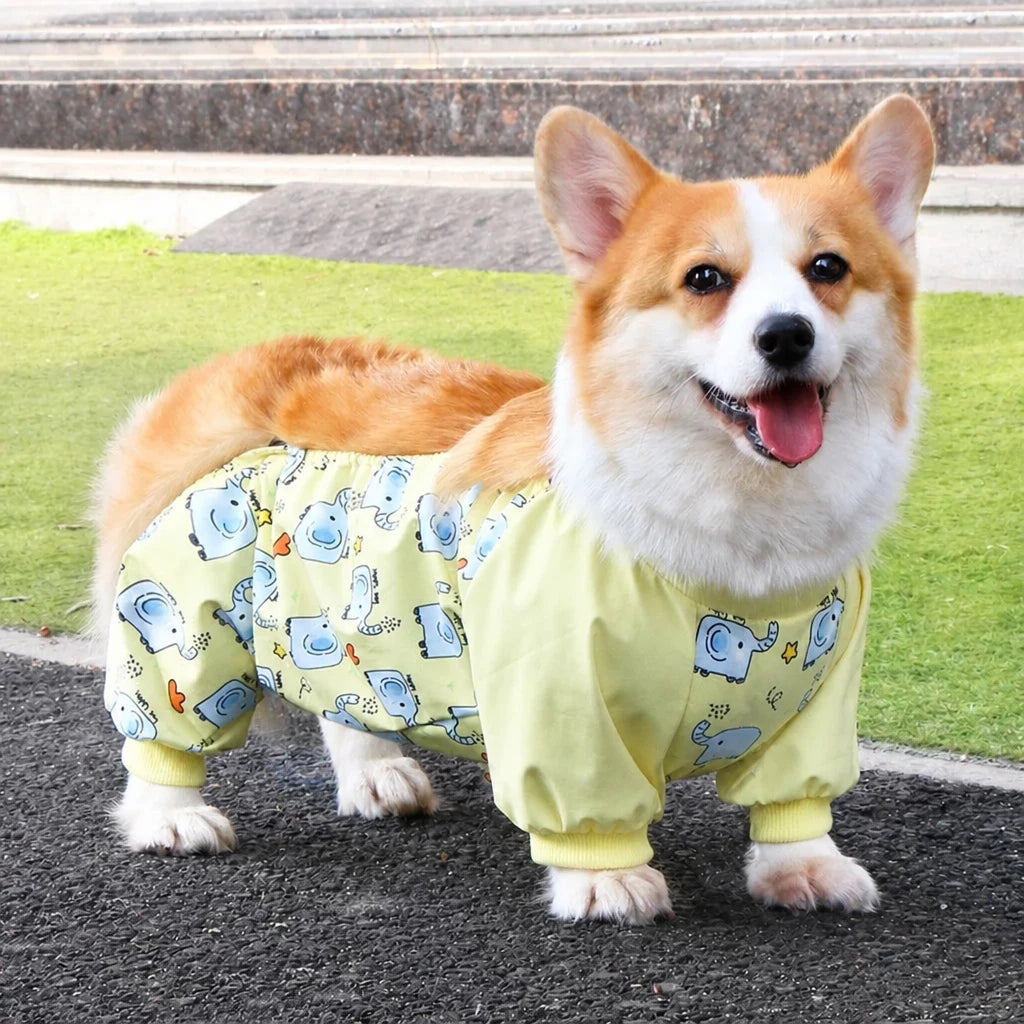 Dog Outdoor Rainwear