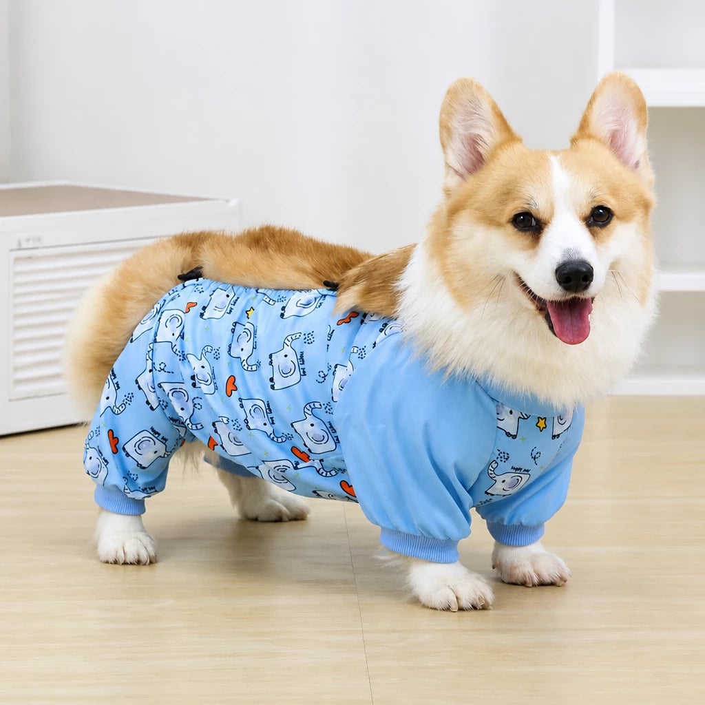 Dog Outdoor Rainwear