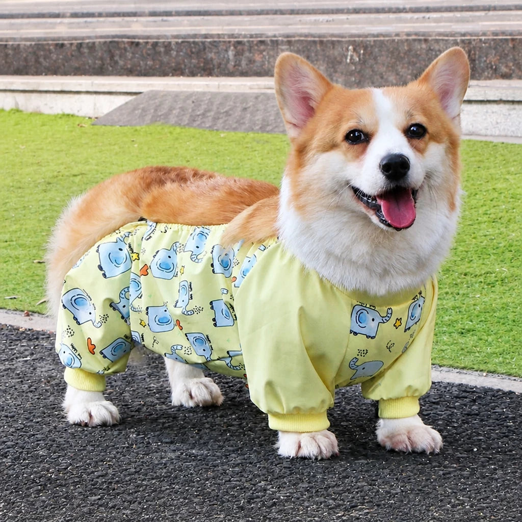 Dog Outdoor Rainwear