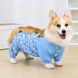Dog Outdoor Rainwear