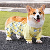 Dog Outdoor Rainwear