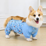 Dog Outdoor Rainwear