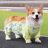 Dog Outdoor Rainwear
