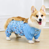 Dog Outdoor Rainwear
