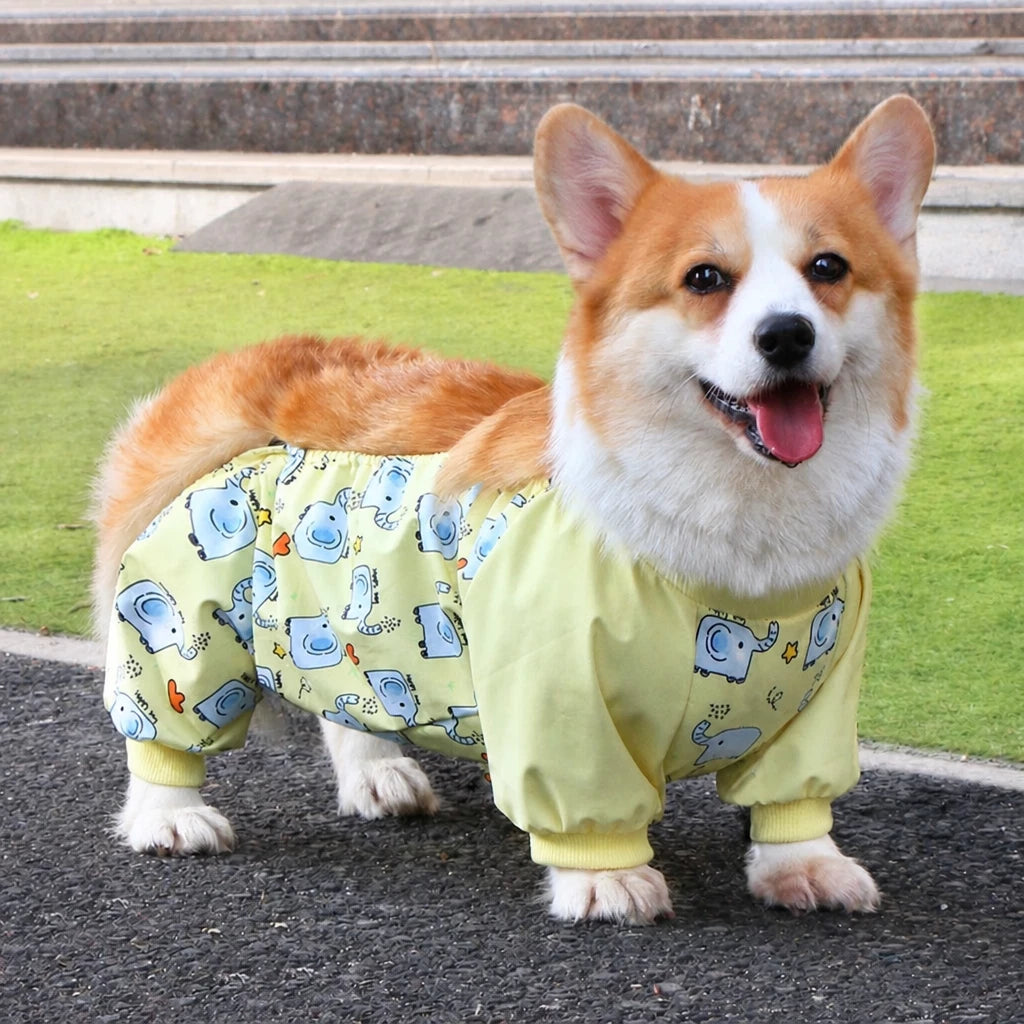 Dog Outdoor Rainwear