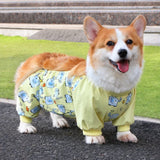 Dog Outdoor Rainwear