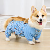 Dog Outdoor Rainwear