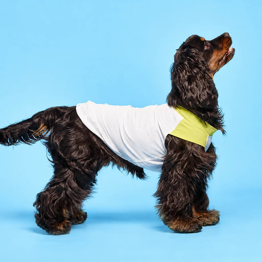 Lightweight Sleeveless Polyester Dog Vest