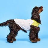 Lightweight Sleeveless Polyester Dog Vest