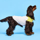 Lightweight Sleeveless Polyester Dog Vest