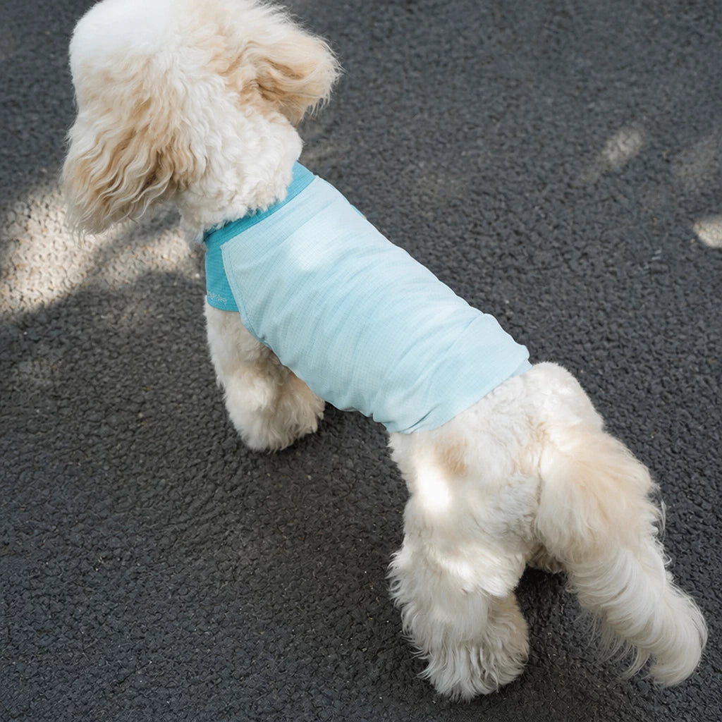 Lightweight Sleeveless Polyester Dog Vest