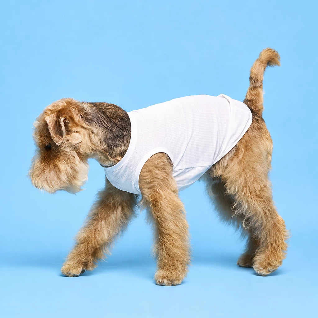 Lightweight Sleeveless Polyester Dog Vest