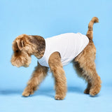 Lightweight Sleeveless Polyester Dog Vest