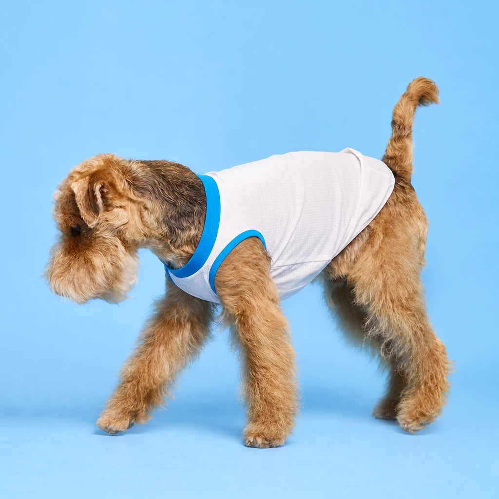 Lightweight Sleeveless Polyester Dog Vest