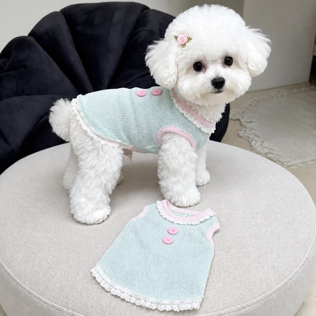 Pet Tank Tops and Strappy Dresses