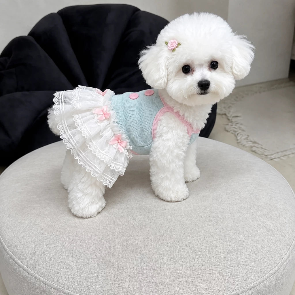 Pet Tank Tops and Strappy Dresses