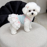 Pet Tank Tops and Strappy Dresses
