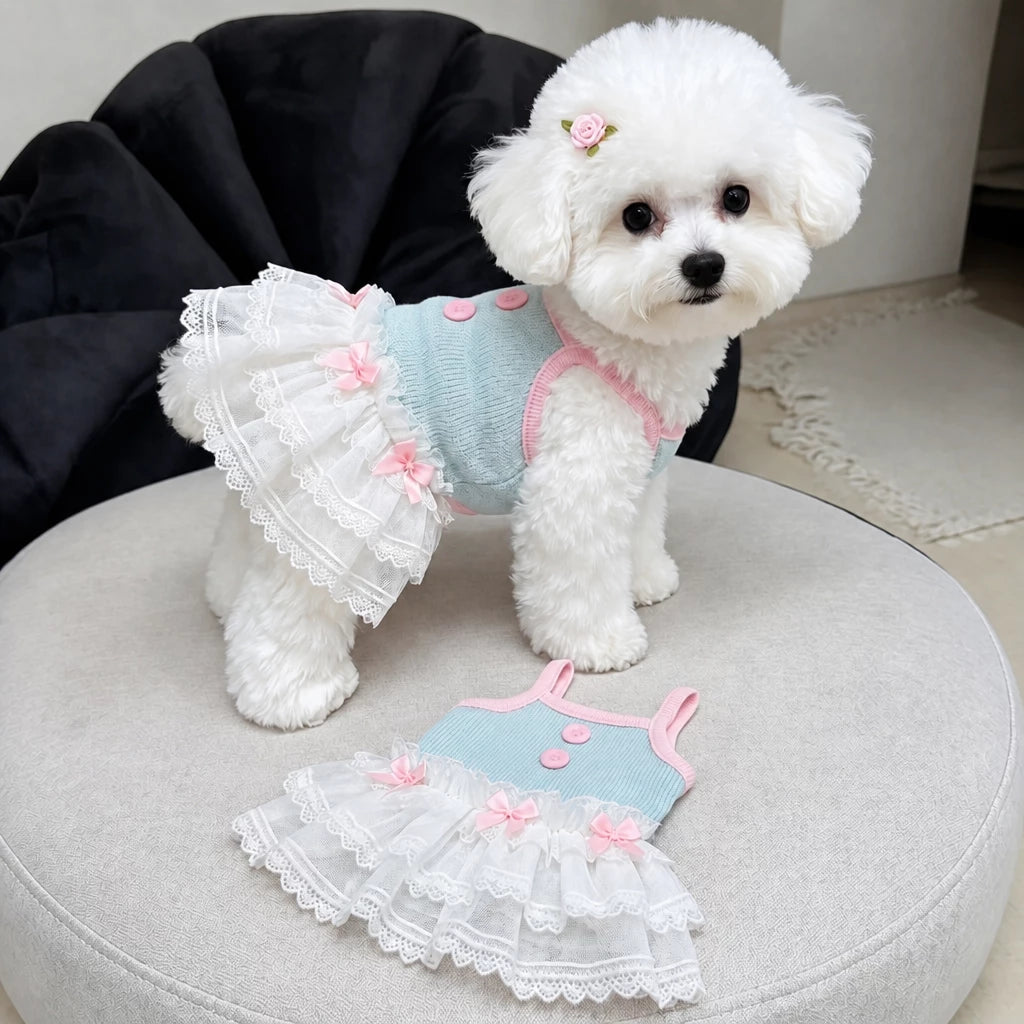 Pet Tank Tops and Strappy Dresses