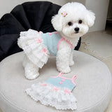 Pet Tank Tops and Strappy Dresses