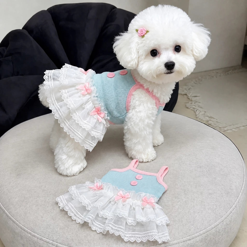 Pet Tank Tops and Strappy Dresses
