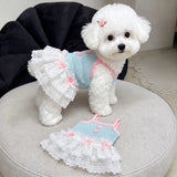 Pet Tank Tops and Strappy Dresses