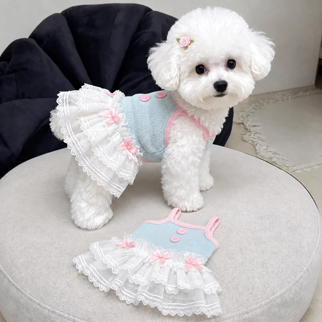Pet Tank Tops and Strappy Dresses