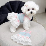 Pet Tank Tops and Strappy Dresses