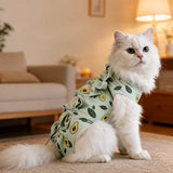 Cat Recovery Suit with Breathable Birdseye Mesh