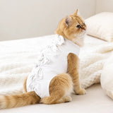 Cat Recovery Suit with Breathable Birdseye Mesh