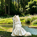 Formal Dress for Large Dogs