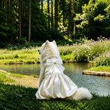 Formal Dress for Large Dogs