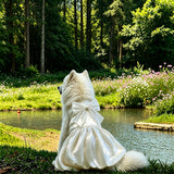 Formal Dress for Large Dogs